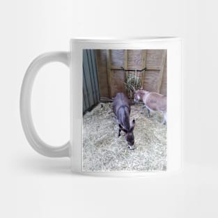 donkeys T-shirt Mug